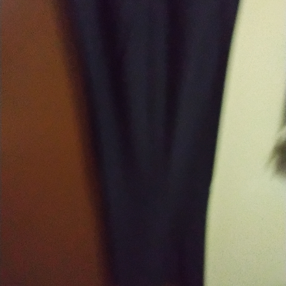 Ashley Stewart Navy Garment